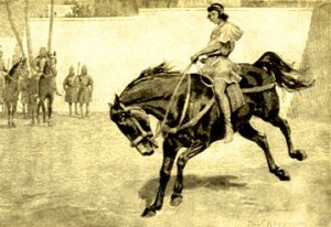 buchephalus