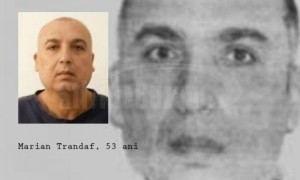 criminal-evadat