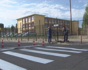 zebra-noua