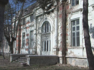 bratianu-5
