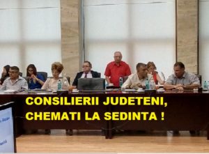 consilierii judeteni la sedinta