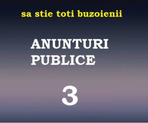 publice 3