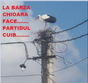 barza chioara