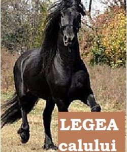 legea calului