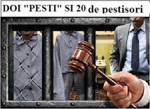 doi pesti