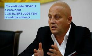 neagu sedinta