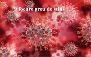 9 focare