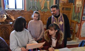 carticica (10)