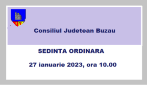 convocare sedinta