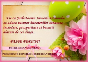 FELICITARE NEAGU
