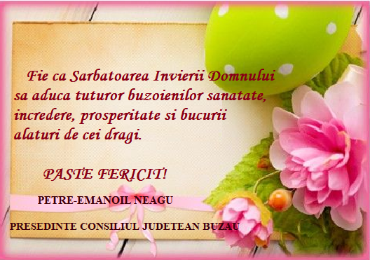 FELICITARE NEAGU