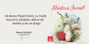 Felicitare MC-01