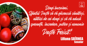 Liliana Sbirnea Felicitare