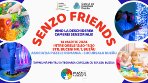 deschidere camera senzoriala puzzle