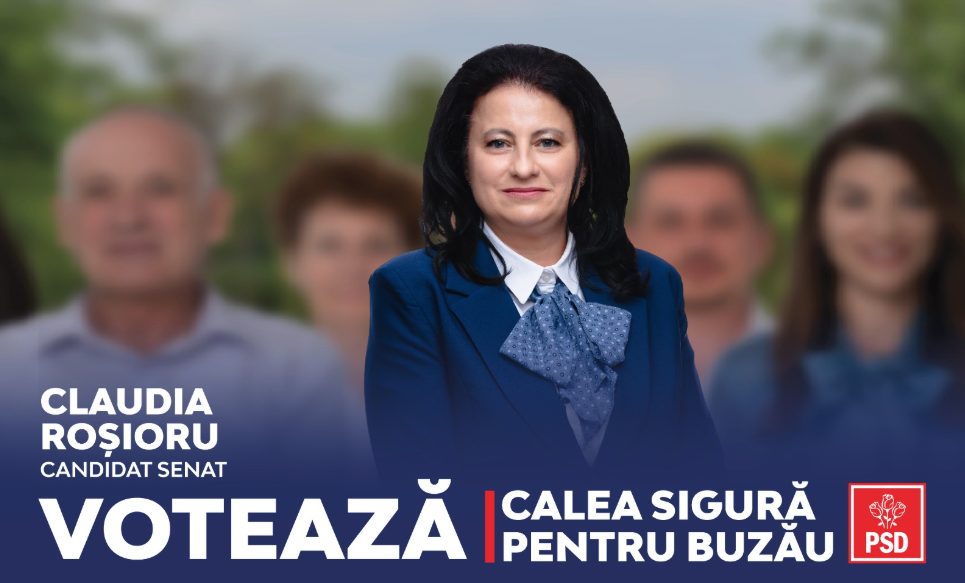 Captură de ecran 2024-11-22 051613