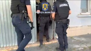 foto-perchezitii