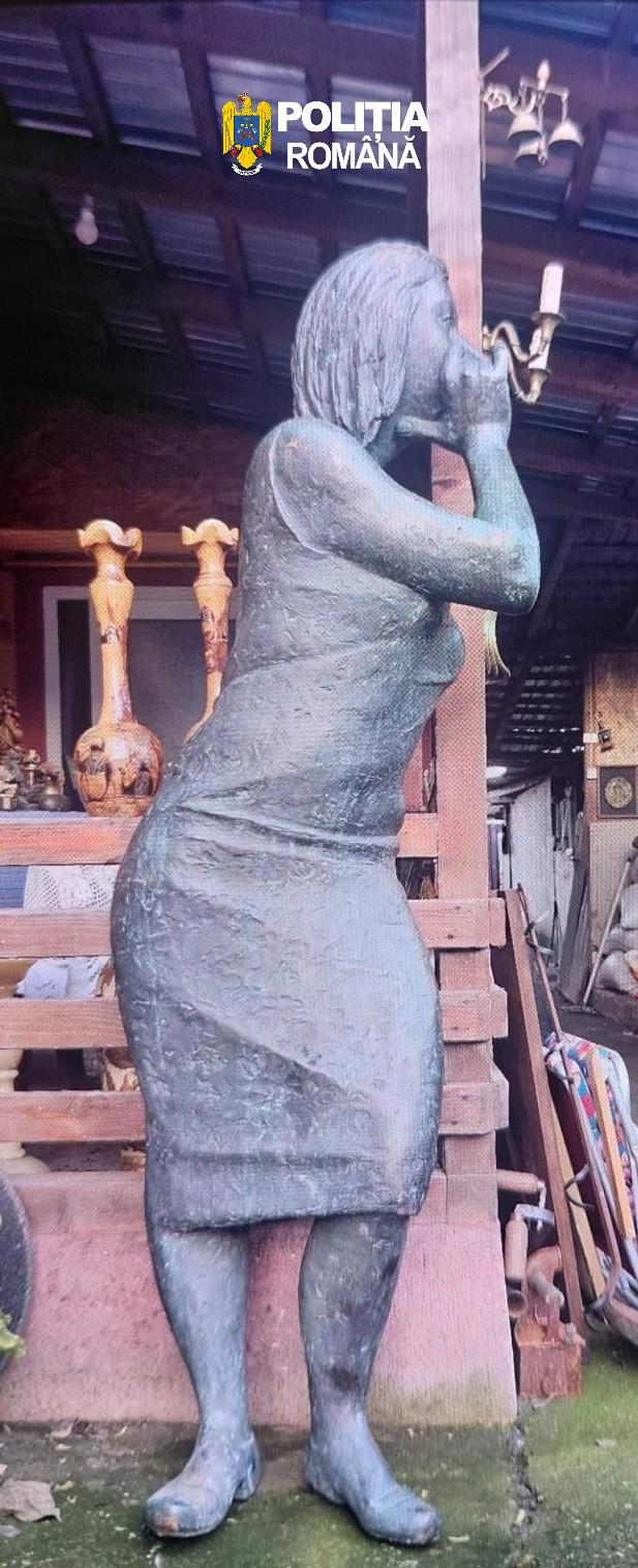 nemtoaica