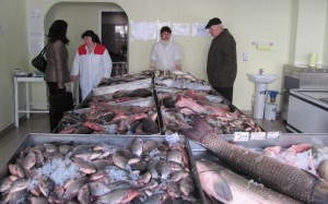 pescarie