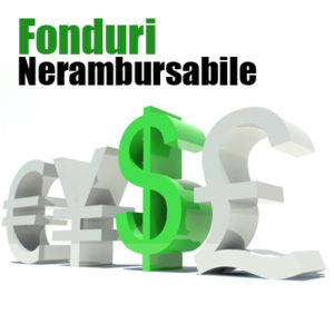 fondurinerambursabile