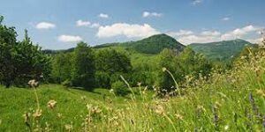 buzau land
