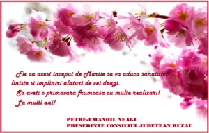 NEAGU 1