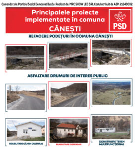 Canesti V2-01