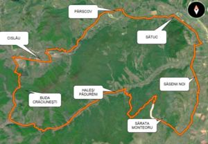 Captură de ecran 2024-07-05 145257