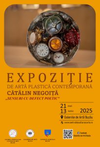 Afis ex pictura catalin negoita 2025