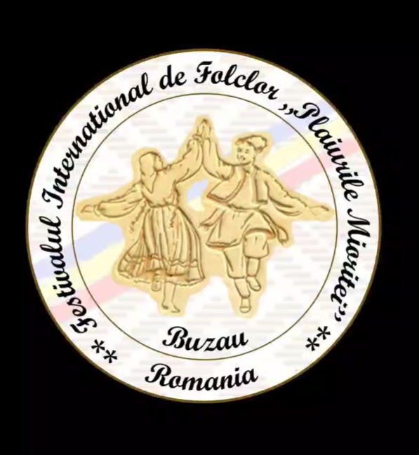 Captură de ecran 2025-07-17 124002