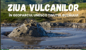 Captură de ecran 2025-08-13 152256