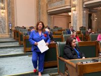Inca o initiativă legislativă propusă SENATULUI  de către Carmen Orban