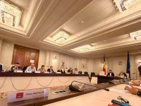 Deputat Oana Matache: Am votat trei documente importante pentru România